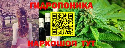 стафф Коммунар