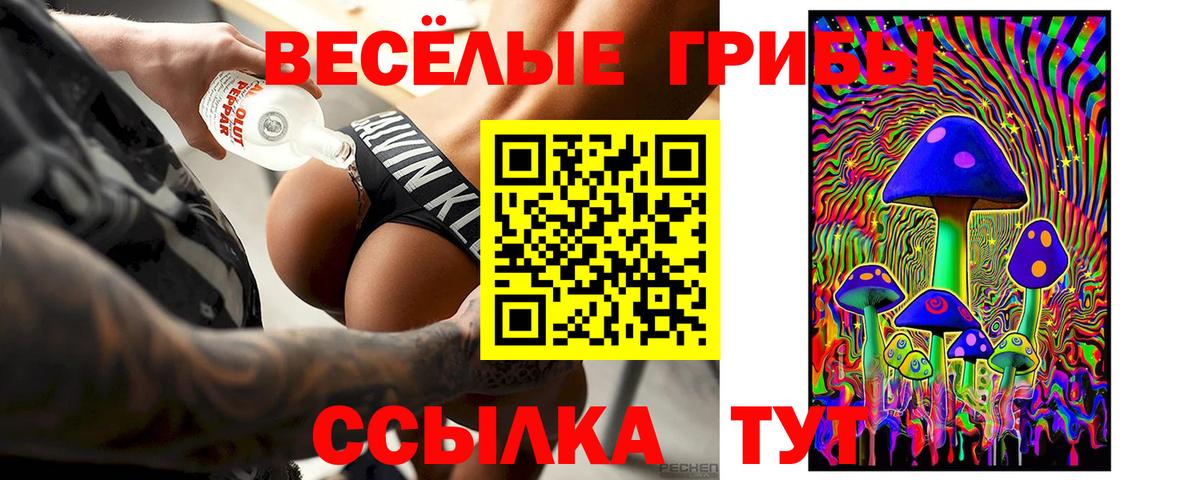 как найти наркотики  Псилоцибиновые грибы GOLDEN TEACHER  Галлюциногенные грибы Psilocybine cubensis  Вход с VPN  Когалым 