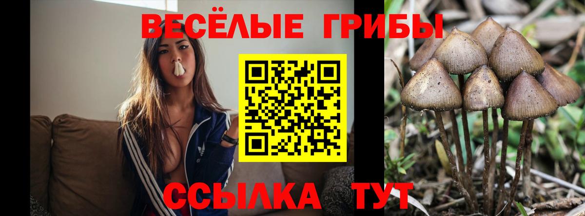 Галлюциногенные грибы ЛСД Когалым